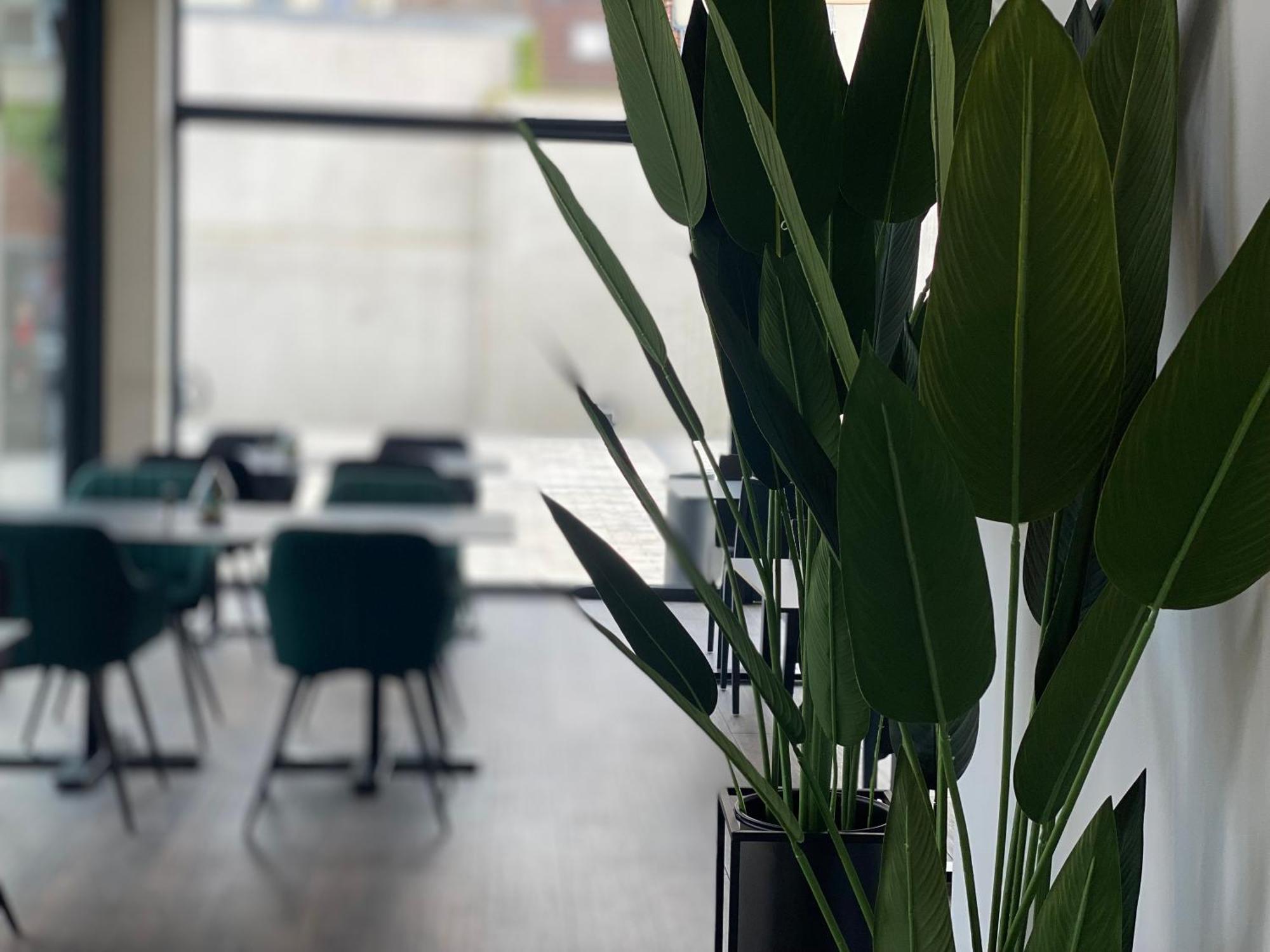 Hotel Grosse Linde